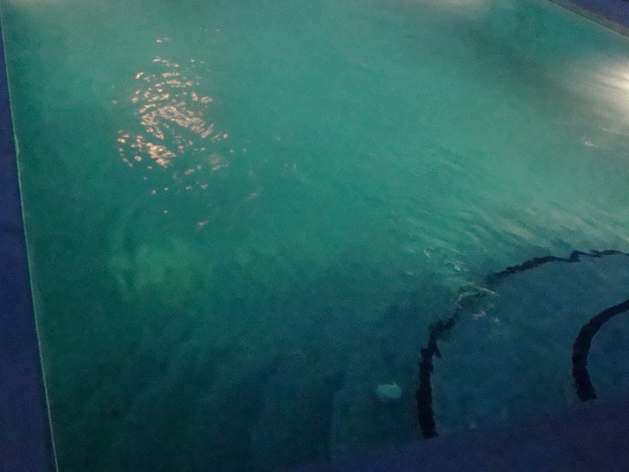 Iluminación de piscinas